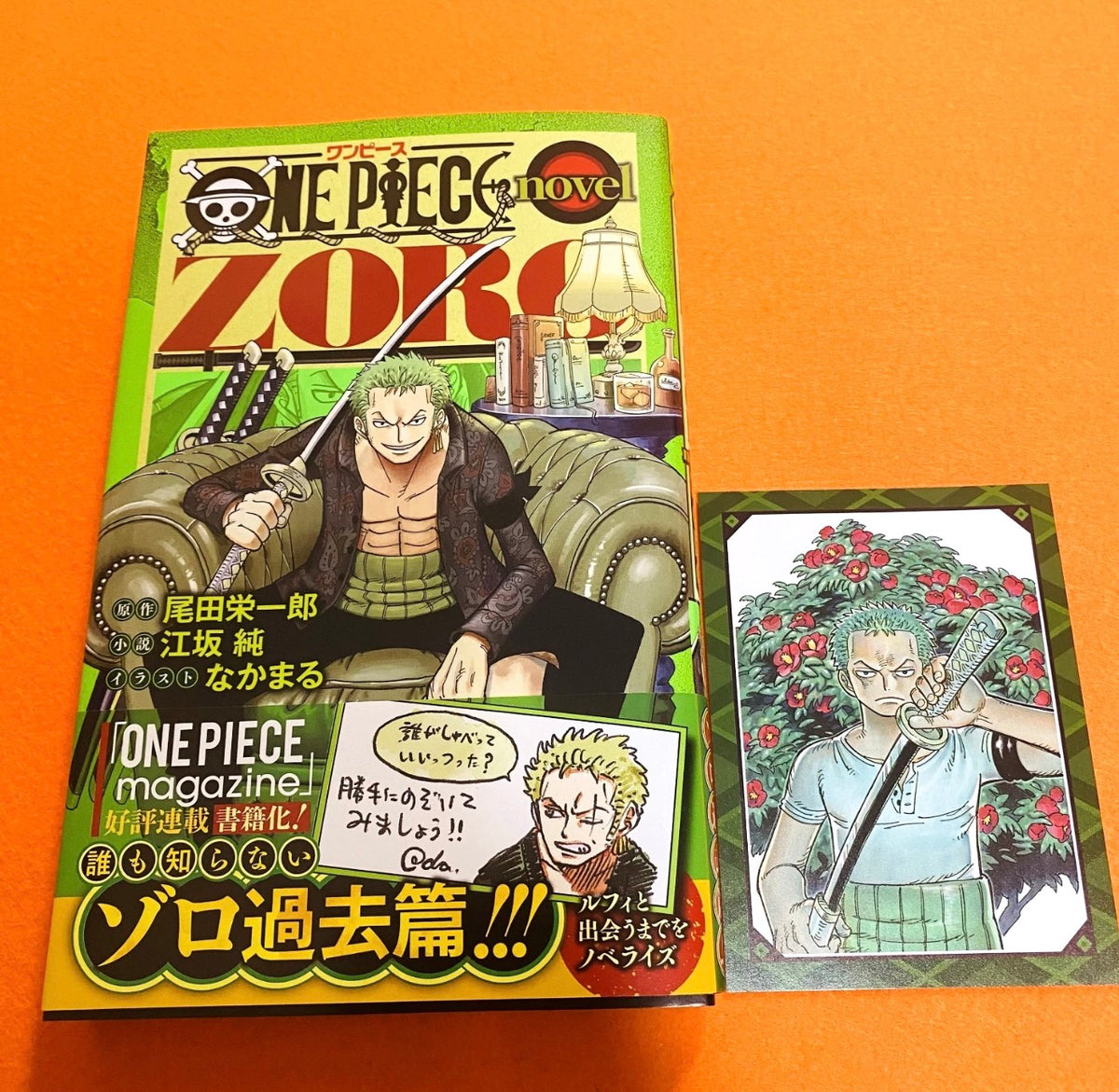 One Piece Zoro Novel Book (Japanese) with Promo Card