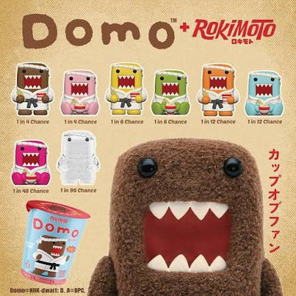 Rokimoto x Domo - Blind Box